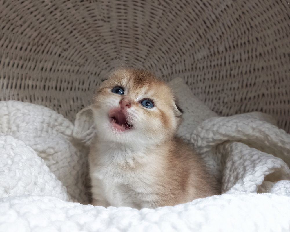 Photograph by Svetlana Yurasova