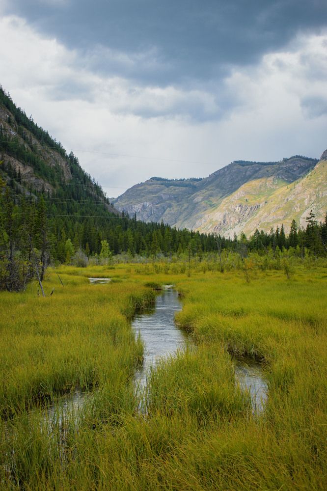 Photograph by Валерия Бебенина