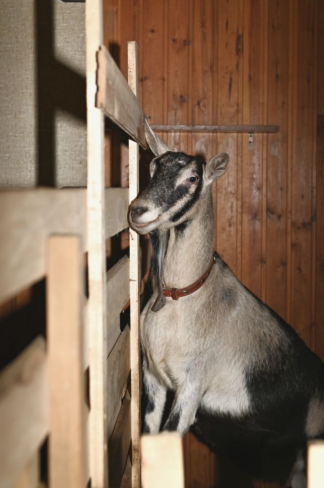 Photograph by Юлия Лис-а