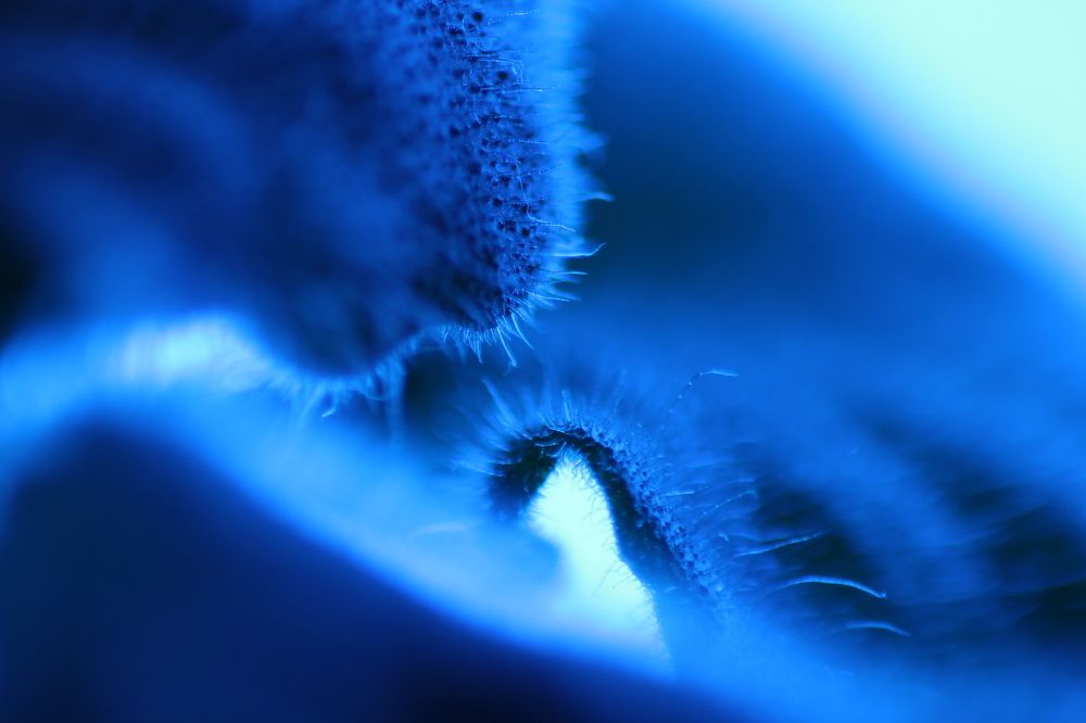 Photograph by Владимир