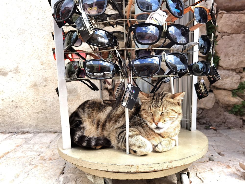 Photograph by Alen Brkić