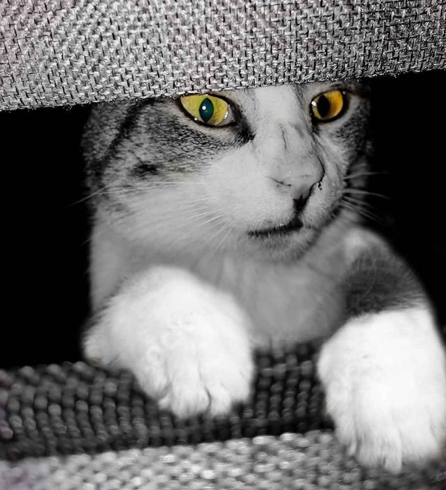 Photograph by Alen Brkić