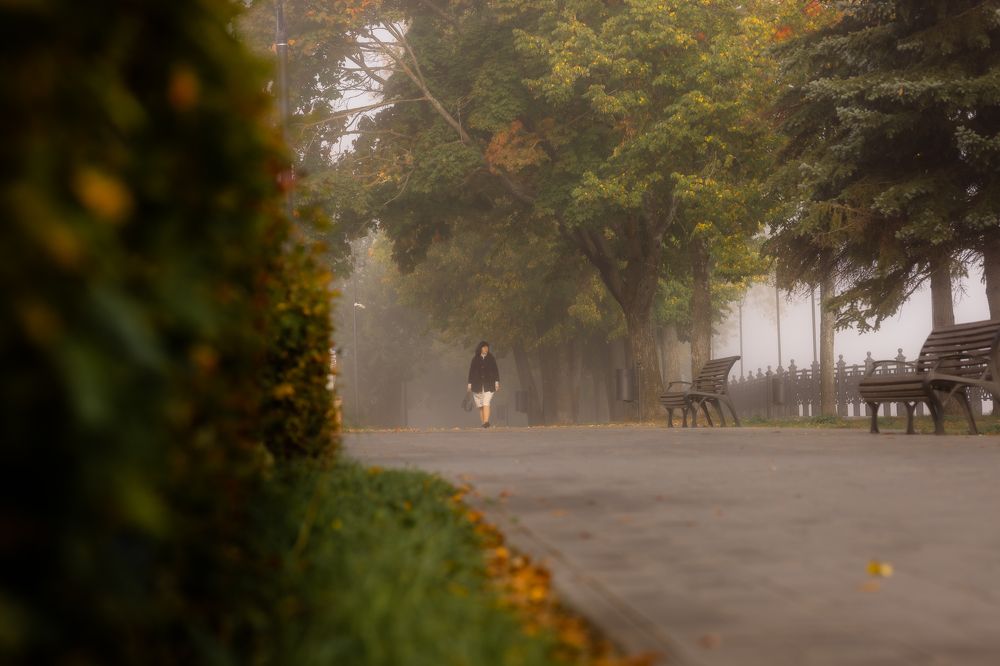 Photograph by Владимир Петухов
