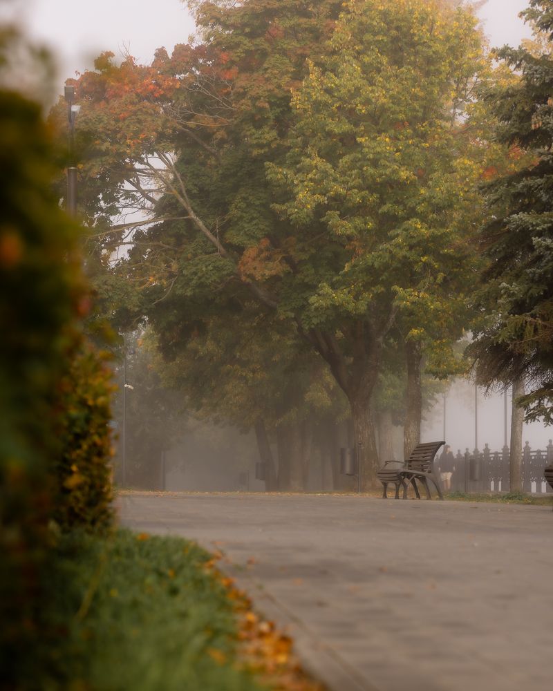 Photograph by Владимир Петухов