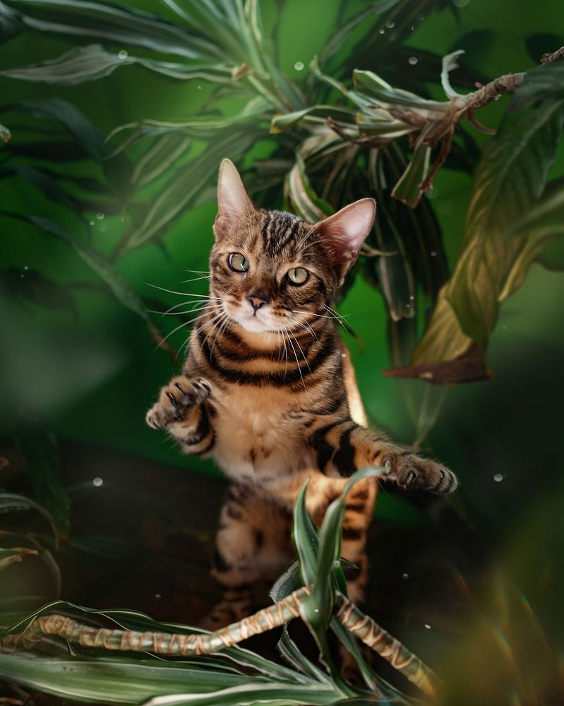 Photograph by Екатерина Морозова