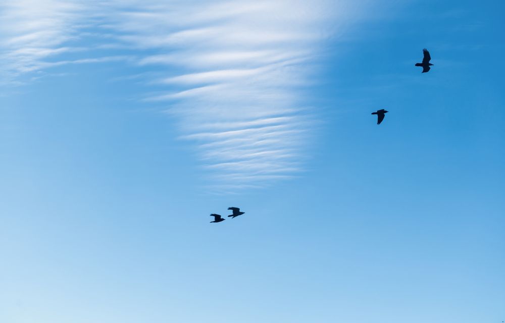 Photograph by Юлия Лис-а