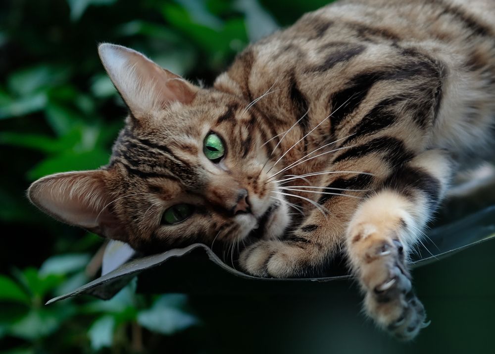 Photograph by Екатерина Морозова