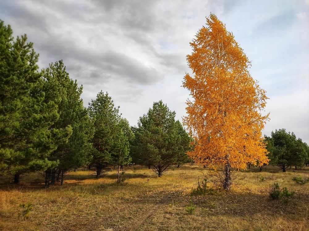 Photograph by Николай Захаров