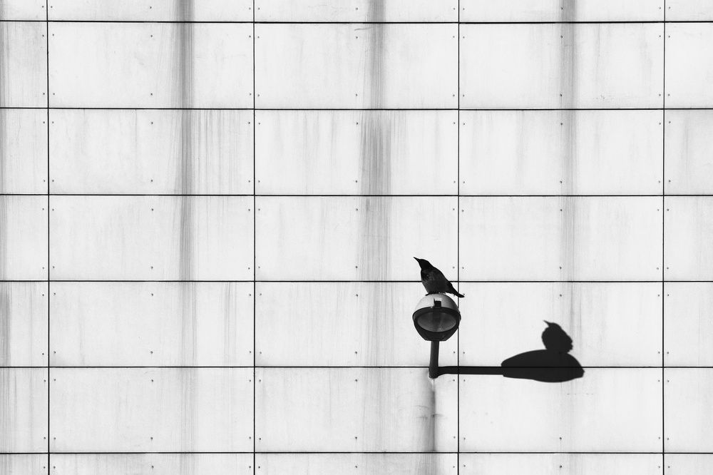 Photograph by Иван Богачев