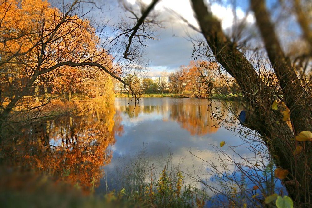 Photograph by Наталья Задерновская