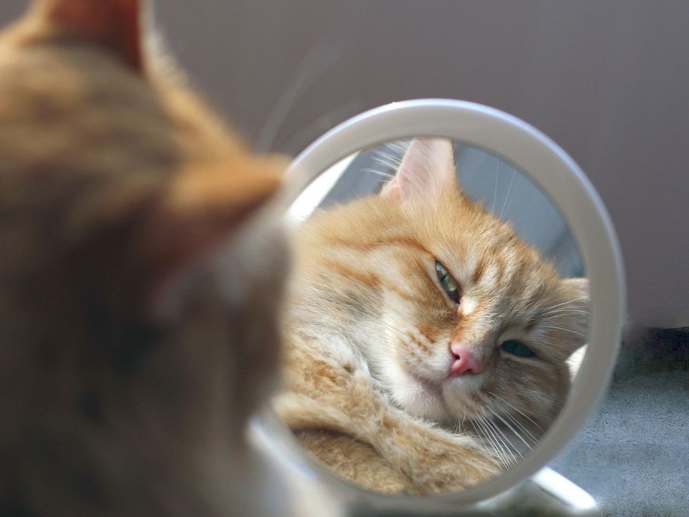 Где то я тебя уже видел.