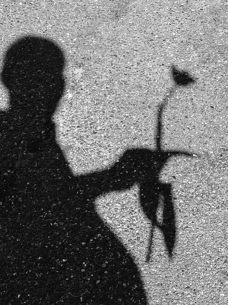 Photograph by Андрей Васильев