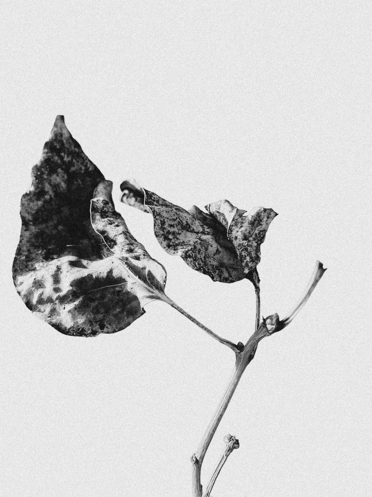 Photograph by Андрей Васильев