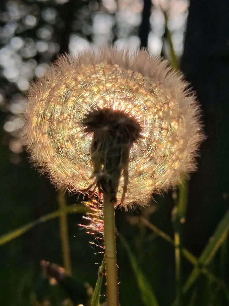 Photograph by Елена Белехова