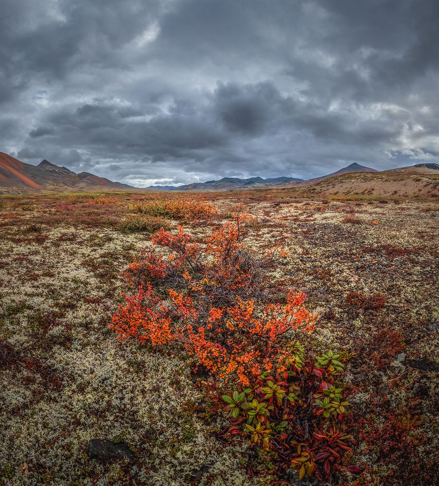 Photograph by Андреев Николай