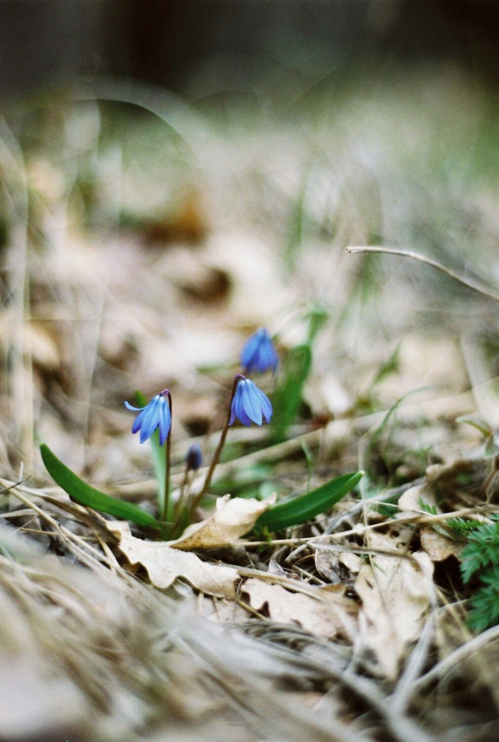 Photo #9642553