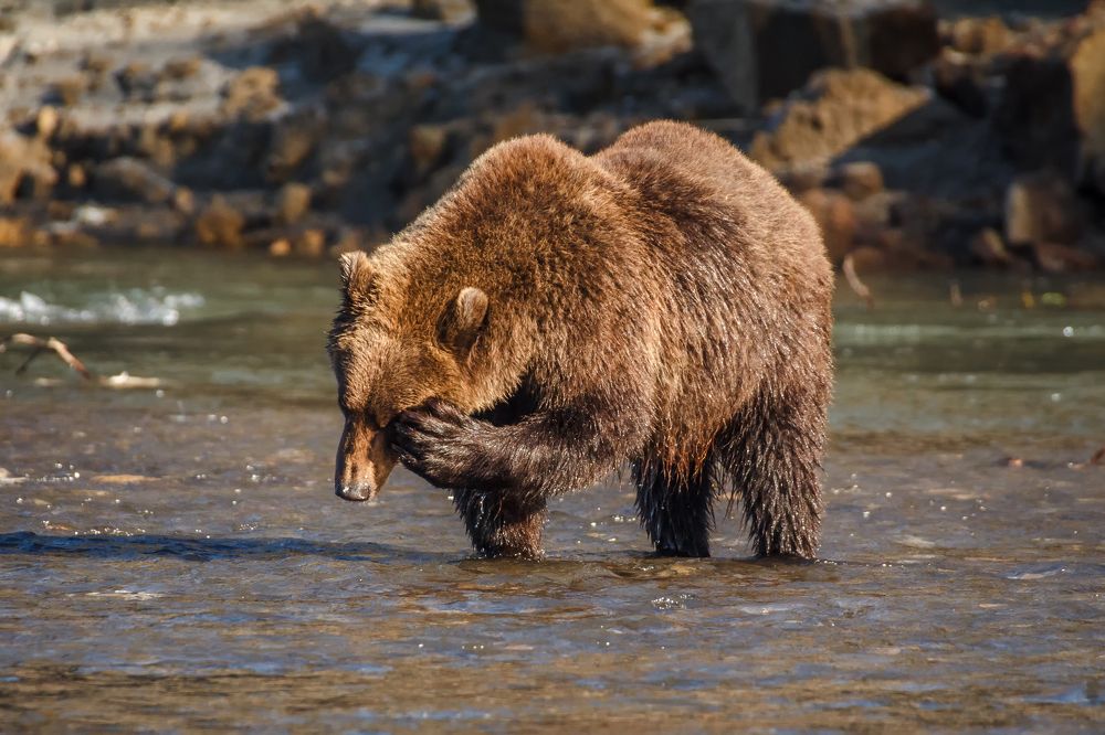 Опять понедельник...