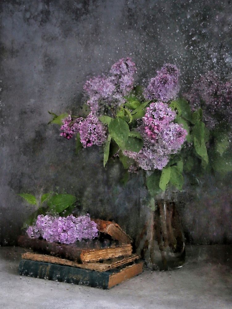 Photograph by Елена Бородина