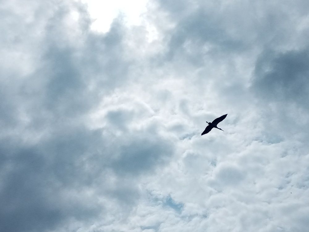 Photograph by даша ващенко