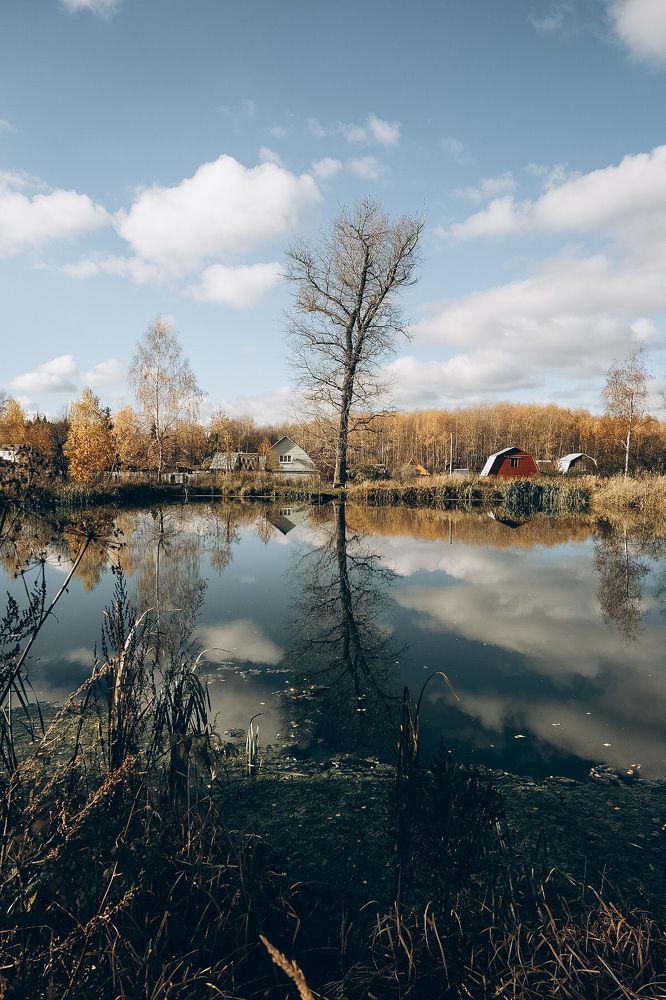 Photograph by Larissa Krasavina
