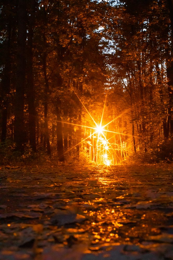 Photograph by Ivan Bazhenov