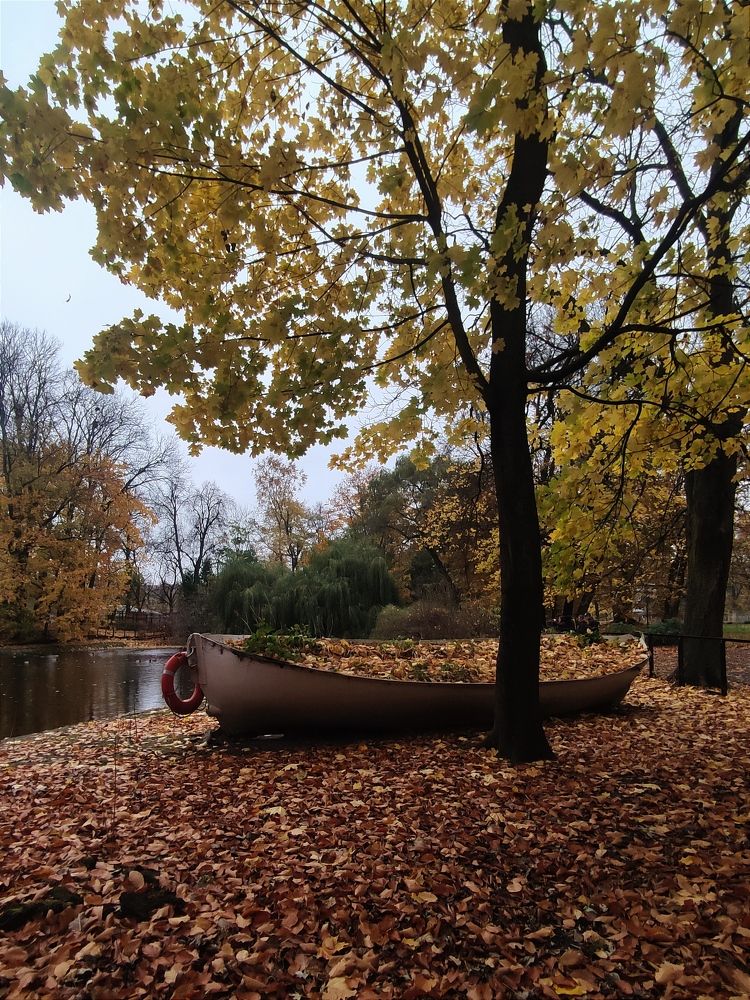 Photograph by Светлана Холодова