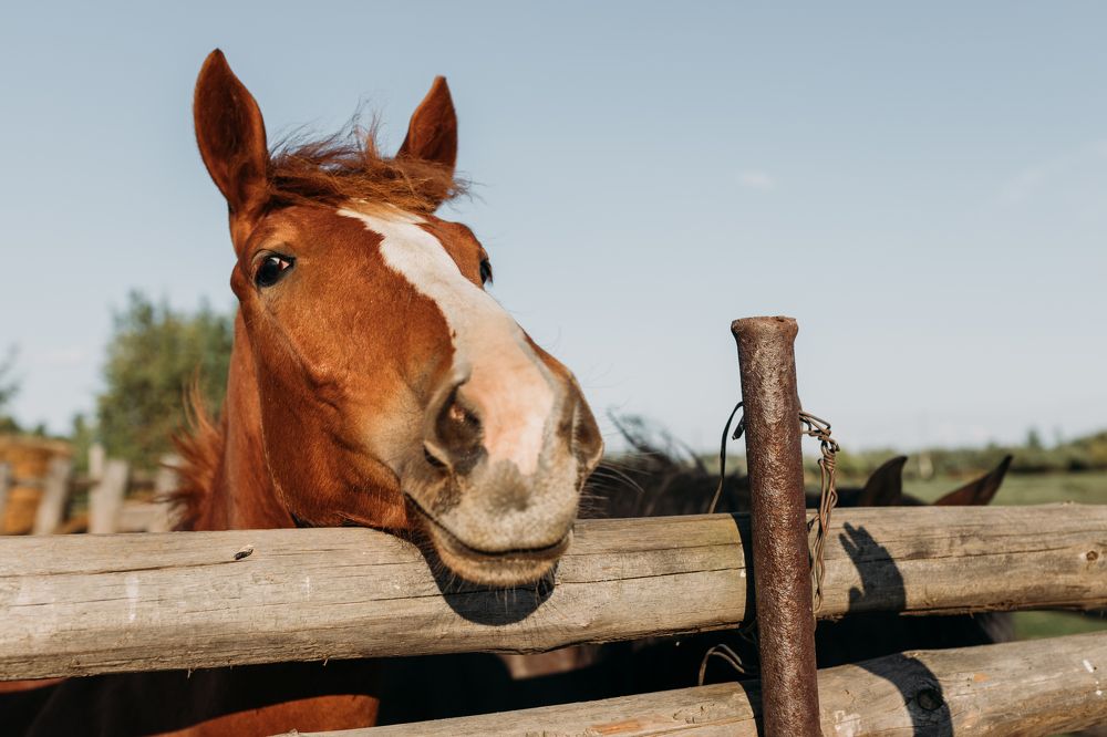 Photograph by Софья Гиззатуллина