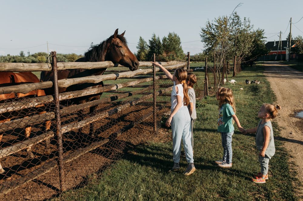 Photograph by Софья Гиззатуллина