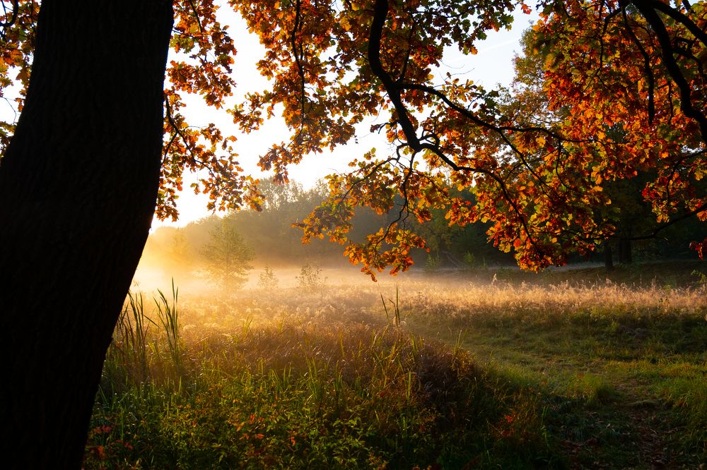 Photograph by Алиса