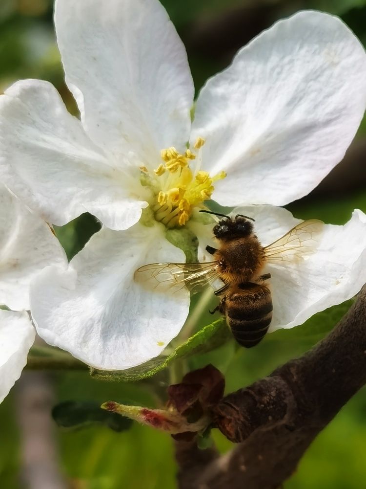 Photograph by Зимфира Хазиева