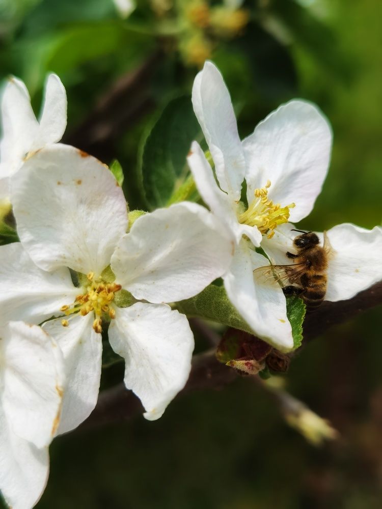 Photograph by Зимфира Хазиева