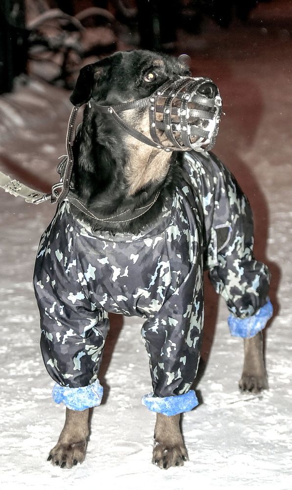 Photograph by Юрий Назыров