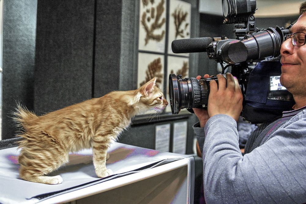 Photograph by Юрий Назыров