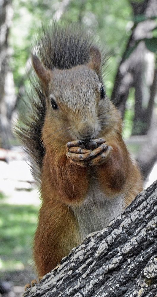 Photograph by Юрий Назыров