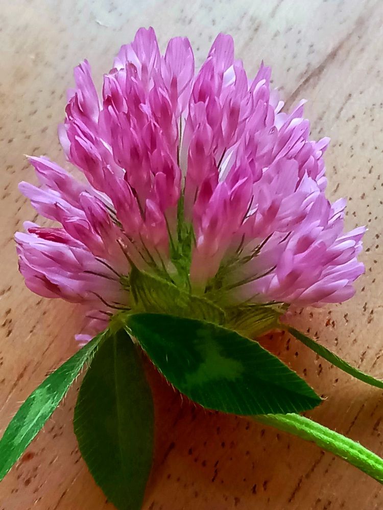 Photograph by Ольга Юрченко