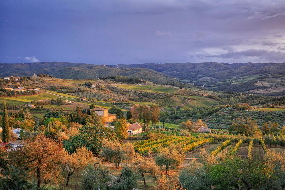 Photograph by Елена Евдокимова