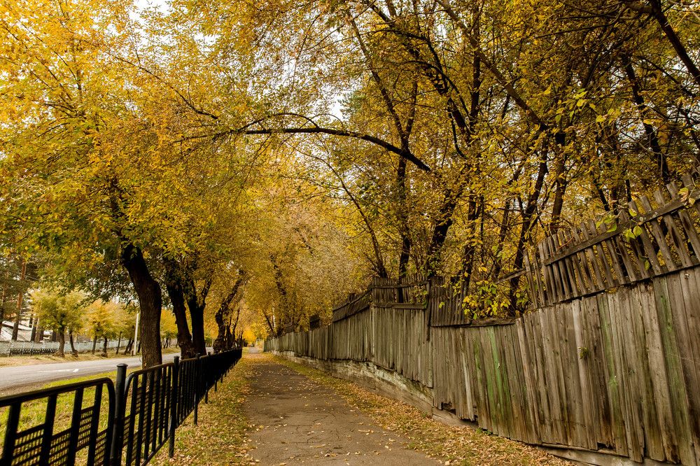 Photograph by Ольга Саламахо