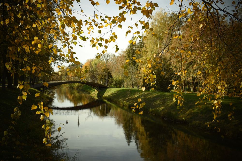 Photograph by Олена Лукашевич