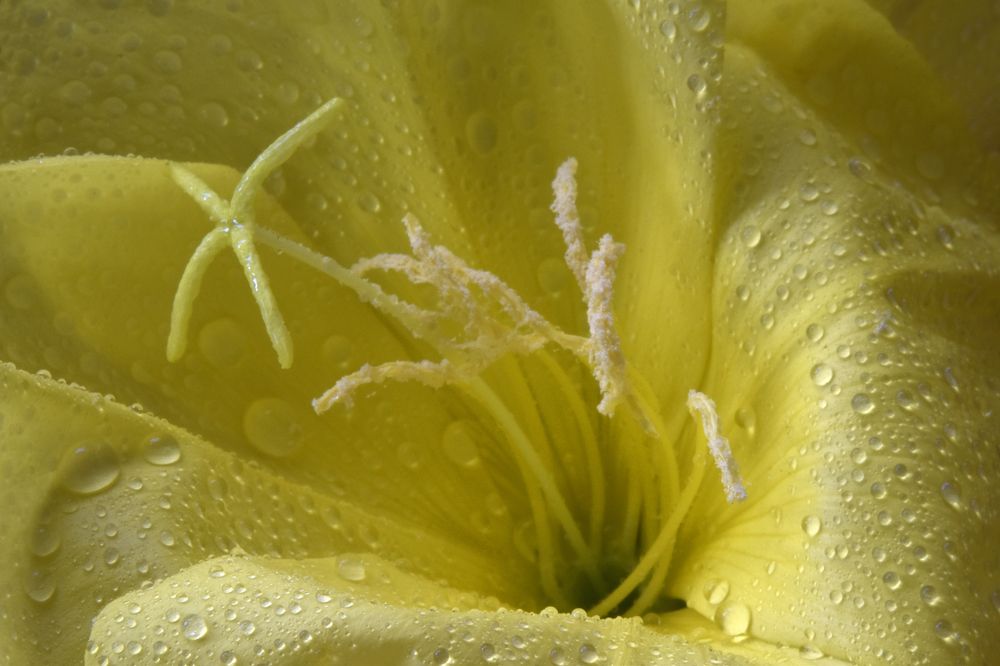 Фотография автора Ирина Шипунова