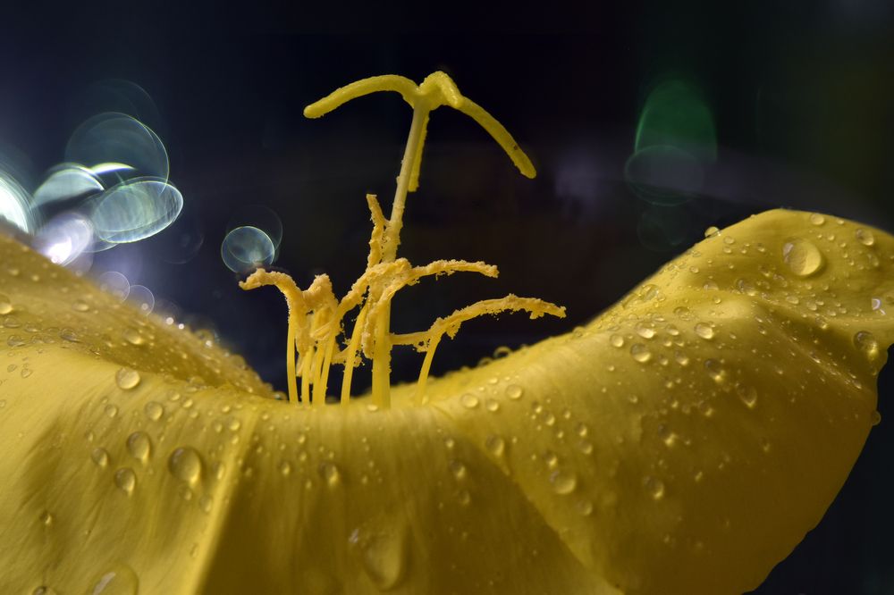 Фотография автора Ирина Шипунова