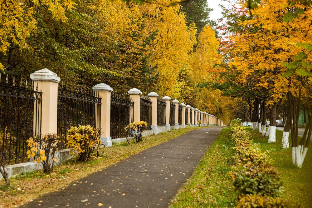 Photograph by Ольга Саламахо