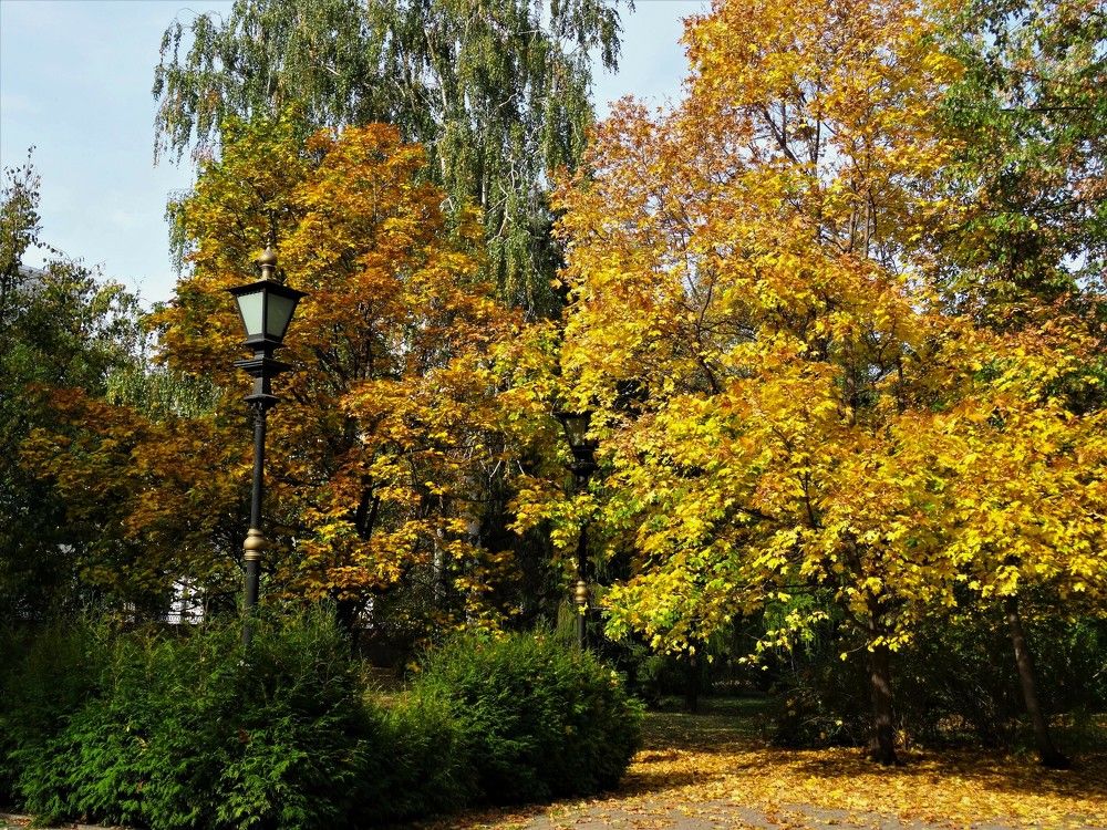 Photograph by Марина Раткун