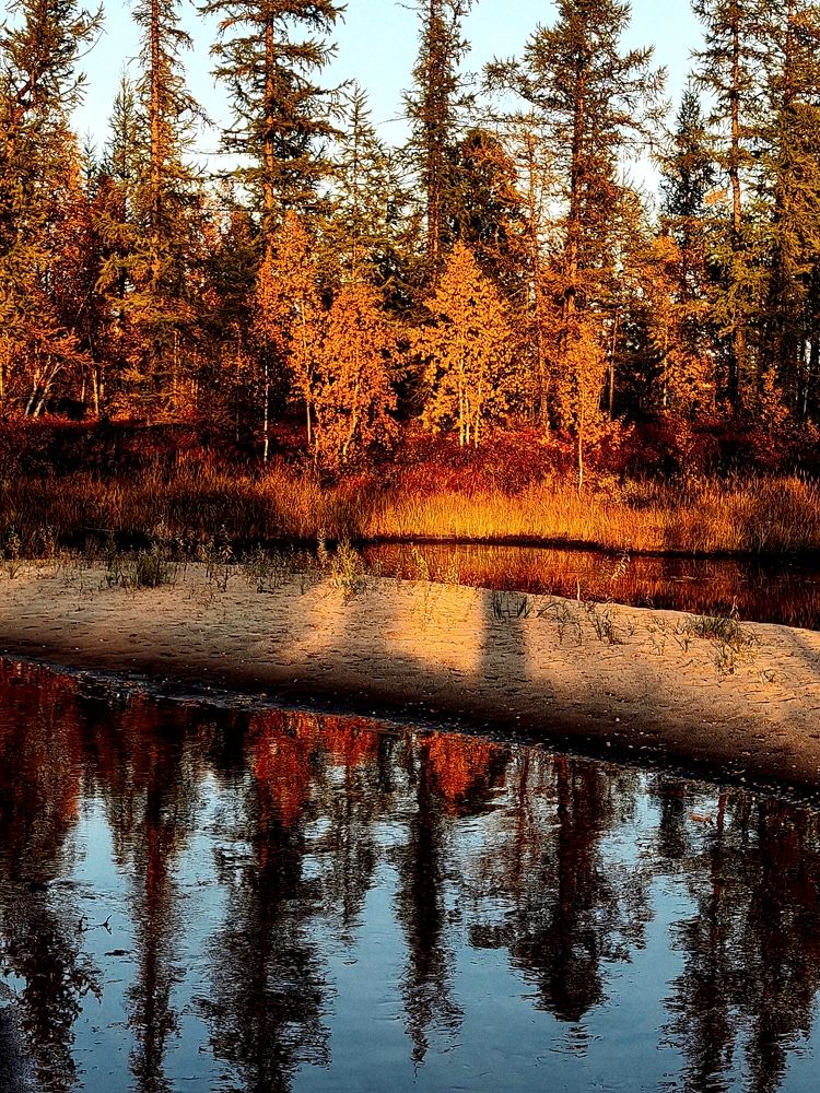 Photograph by Юлия Арестова