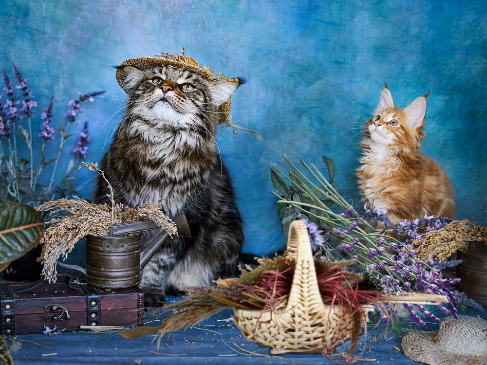 Photograph by NADEZHDA PELYMSKAIA