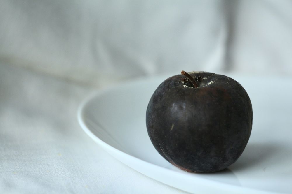 Photograph by Елена Змейкова