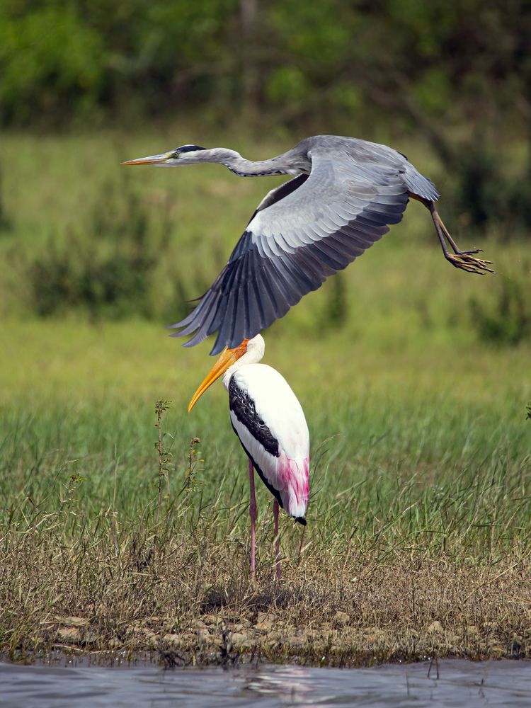 Photograph by Nithin Kumar