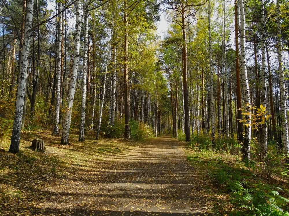 Photograph by Марина Раткун