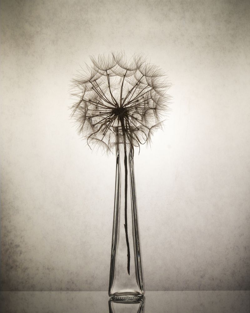 Фотография автора Anna Ilieva-Alikaj