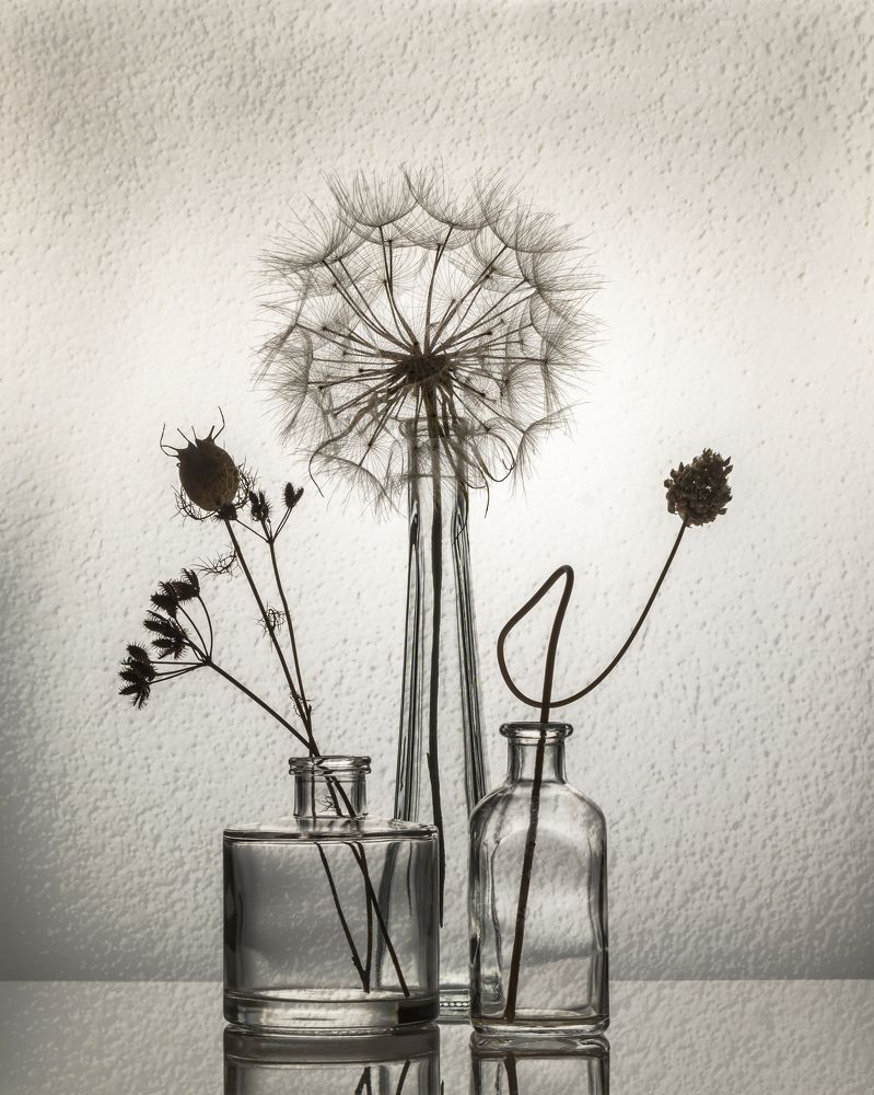 Фотография автора Anna Ilieva-Alikaj