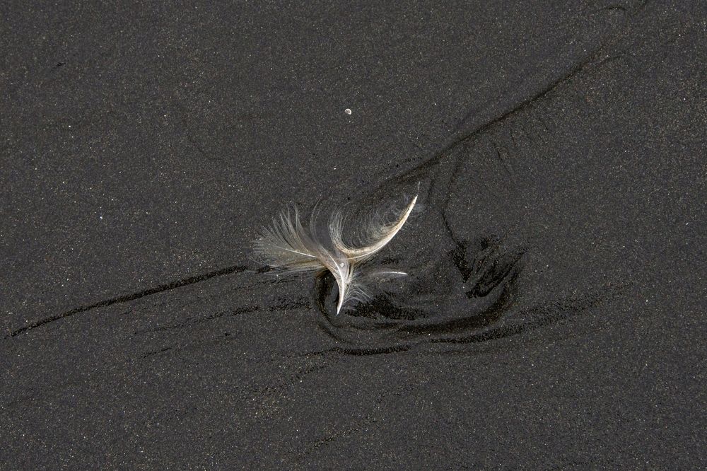 Photograph by Наталия Шинкевич